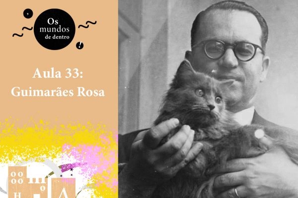 Os mundos de dentro – aula 33 (live): Guimarães Rosa